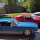 Illustration for article titled Mustang Monday (Anniversary Edition)